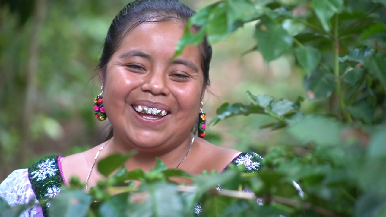 Nghệ thuật sống xanh của cộng đồng bản địa ở Mexico